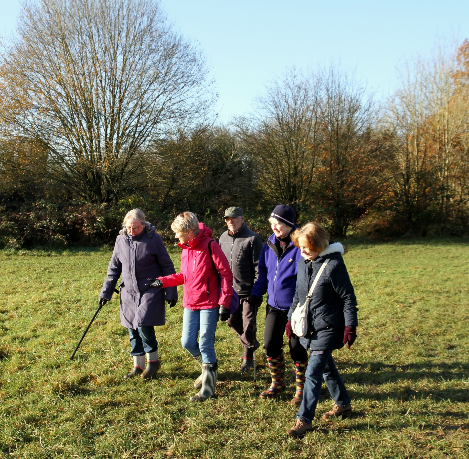 Walking through a field